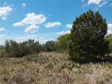 LOT 201 Sundance View Point - Photo 9
