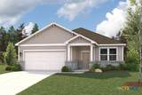 12025 Ellena Cove - Photo 2