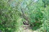 2170 Langdon Road - Photo 21
