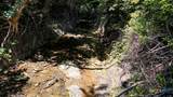2445 Fm 116 - Photo 22