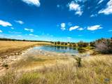 2445 Fm 116 - Photo 44