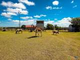 2445 Fm 116 - Photo 47