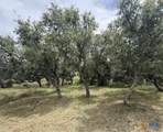 4215 Sunset Cliff Road - Photo 4