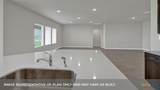 443 Mcginty Meadow Drive - Photo 22