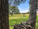 428 Summit Spring Lane - Photo 17
