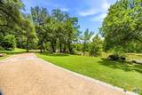 158 Gruene Vista Trail - Photo 30