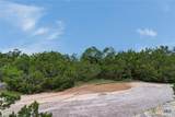 9404 Bar-K Ranch Road - Photo 5