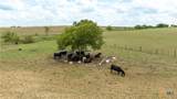 4775 Barnes Road - Photo 13