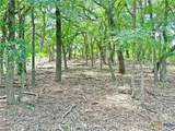 1231 Pitchfork Ranch Road - Photo 4