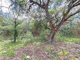 1231 Pitchfork Ranch Road - Photo 8
