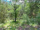 1231 Pitchfork Ranch Road - Photo 9