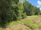 Lot 529 Grand Oak Street - Photo 3