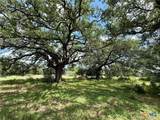 731 Santa Maria Road - Photo 14