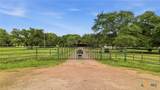 3275 Live Oak Road - Photo 11