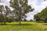 1291 County Road 157 - Photo 14