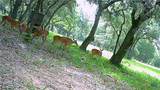 1291 County Road 157 - Photo 44