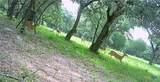 1291 County Road 157 - Photo 45