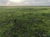 000 County Road 18 30.73 Acres Tract 3 - Photo 12