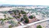 405 Heartleaf Drive - Photo 3