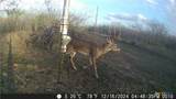 000 Pierce Road - Photo 5