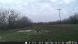 000 Pierce Road - Photo 6
