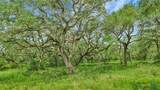 000 Fm 444 - Photo 7