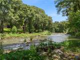 1033 Gruene Road - Photo 2