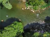 1033 Gruene Road - Photo 3