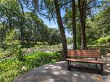 1033 Gruene Road - Photo 38