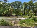 1033 Gruene Road - Photo 39