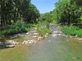 1033 Gruene Road - Photo 46