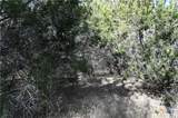 979 & 987 Deer Valley Pass - Photo 10