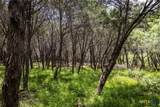 TBD Dry Creek Crossing - Photo 11