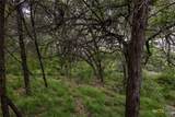 TBD Dry Creek Crossing - Photo 8