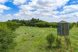 596 Hallemann Road - Photo 2