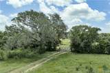 596 Hallemann Road - Photo 20