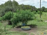 596 Hallemann Road - Photo 26