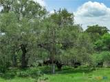 596 Hallemann Road - Photo 27