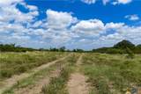596 Hallemann Road - Photo 38