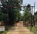 220 Clydesdale Drive - Photo 3