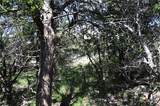 1318 Hidden Valley Drive - Photo 14