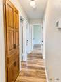 2601 Phyllis Drive - Photo 15
