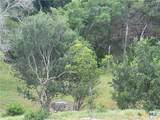 439 Twilight Drive - Photo 6