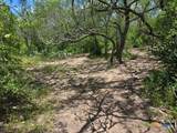 271 Pr 1266 - Photo 2