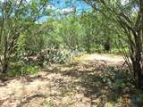 271 Pr 1266 - Photo 9