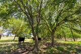 1806 County Road 180 - Photo 4