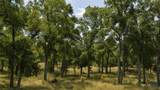 Lot 55 Buffalo Creek Drive - Photo 6
