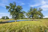 5610 County Road 174 - Tract 7 - Photo 12