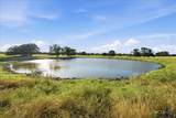 5610 County Road 174 - Tract 7 - Photo 3