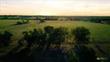 5610 County Road 174 - Tract 7 - Photo 8